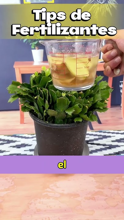 Tips de Fertilizantes - YouTube