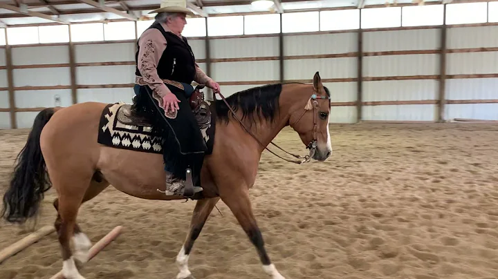 AHA Virtual Show #2 Ranch Riding Pattern #15