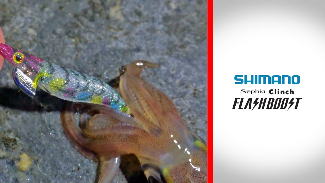 Shimano Sephia Clinch Flash Boost