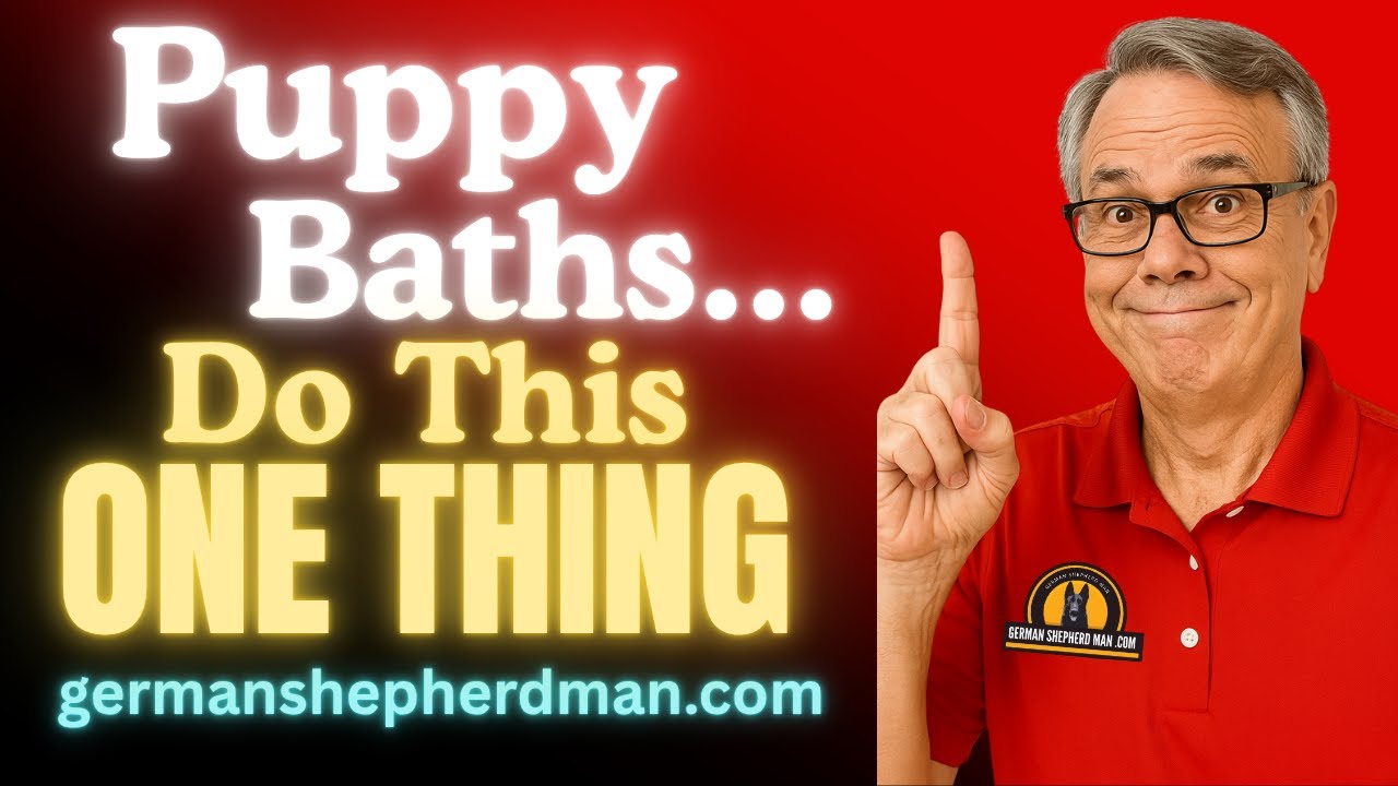 Most People Miss This When Giving Their Puppy a Bath