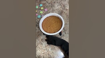 Trader Joe’s Blondie Bar with M&M Flowers -Spring time treat!