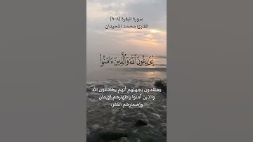 سورة البقرة (٨-٩) بصوت القارئ محمد اللحيدان ٩ فبراير ٢٠٢٤