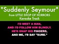 Suddenly seymour from little shop of horrors  karaoke track with lyrics on screen