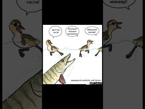 Боевые утки)