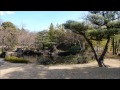 No108 マイアミ・ビーチ・ルンバ