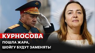 🔥 Курносова: ШОЙГУ заставят уйти, в элитах РФ начался ПЕРЕПОЛОХ!