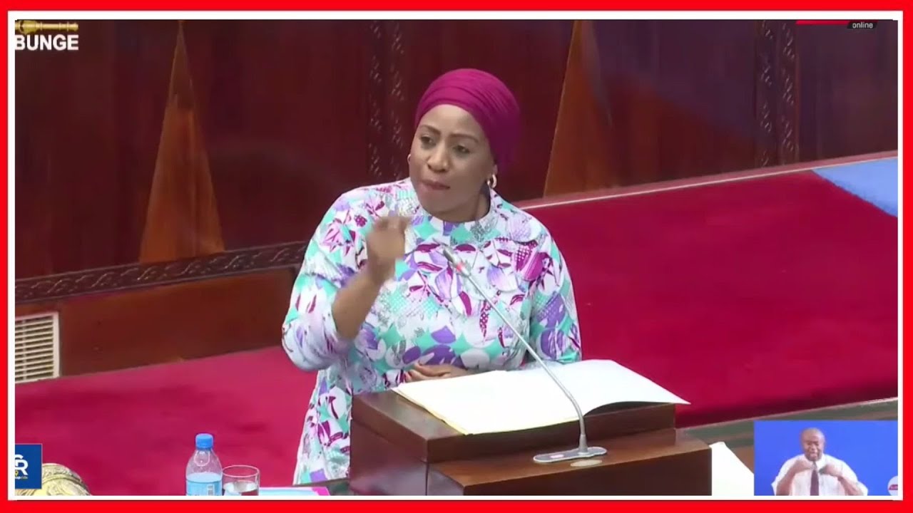 FULL VIDEO: HOTUBA NZIMA ya WAZIRI wa AFYA  UMMY MWALIMU AKIOMBA BUNGE KUMUIDHINISHIA BAJETI...