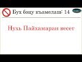 14) Нухь Пайхамаран весет