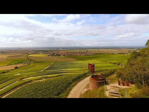 terroir f -