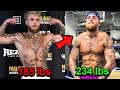 Jake paul insane weight for mike tyson fight