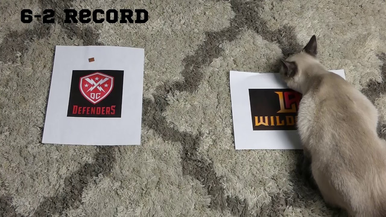XFL Week 3 Pick's | Jasmine The Cat Vs Stormy The Dog | Battle Of The Species