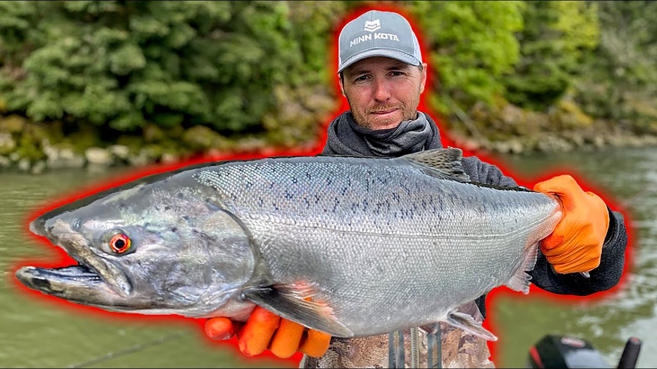 Columbia River Spring SALMON FISHING! Catch & COOK Salmon RECIPE