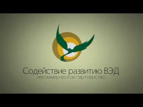 Административные правонарушения в области таможенного дела. Часть 3
