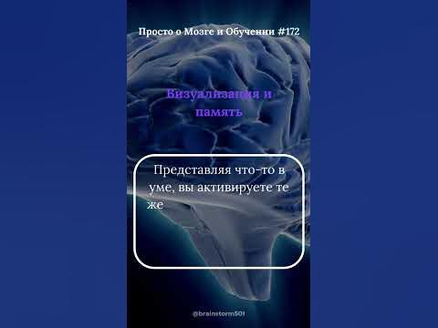 Визуализация и мозг - YouTube