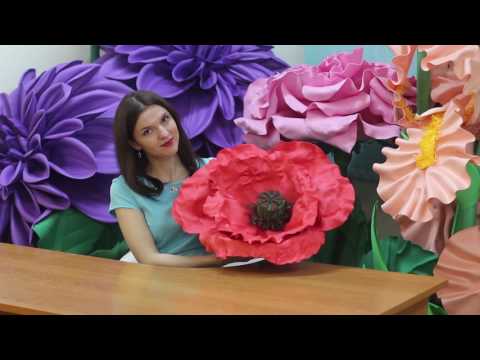мастер класс большой