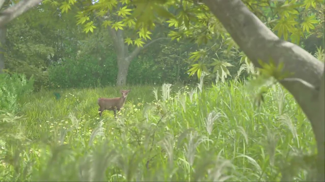 Assassin’s Creed Shadows 🥷🏽 - Fast Travel cut scene 🎬 with some amazing views 🙌🏽