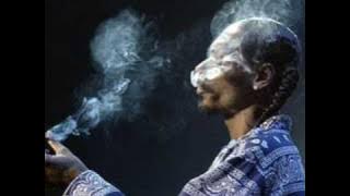 Drop It Like It's Hot lyrics - Snoop Dogg