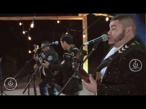 Desvelados de Tijuana - Te vi con el (En Vivo)