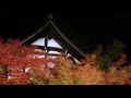 Autumn colors in Kyoto - The Japan News