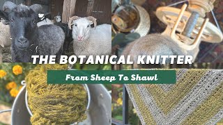 From Sheep To Shawl