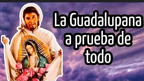JUNTOS Y A LA VENTA AL MEJOR POSTOR