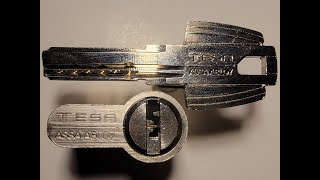 [L226] Tesa T-60 Euro Cylinder Lock - pick and gut