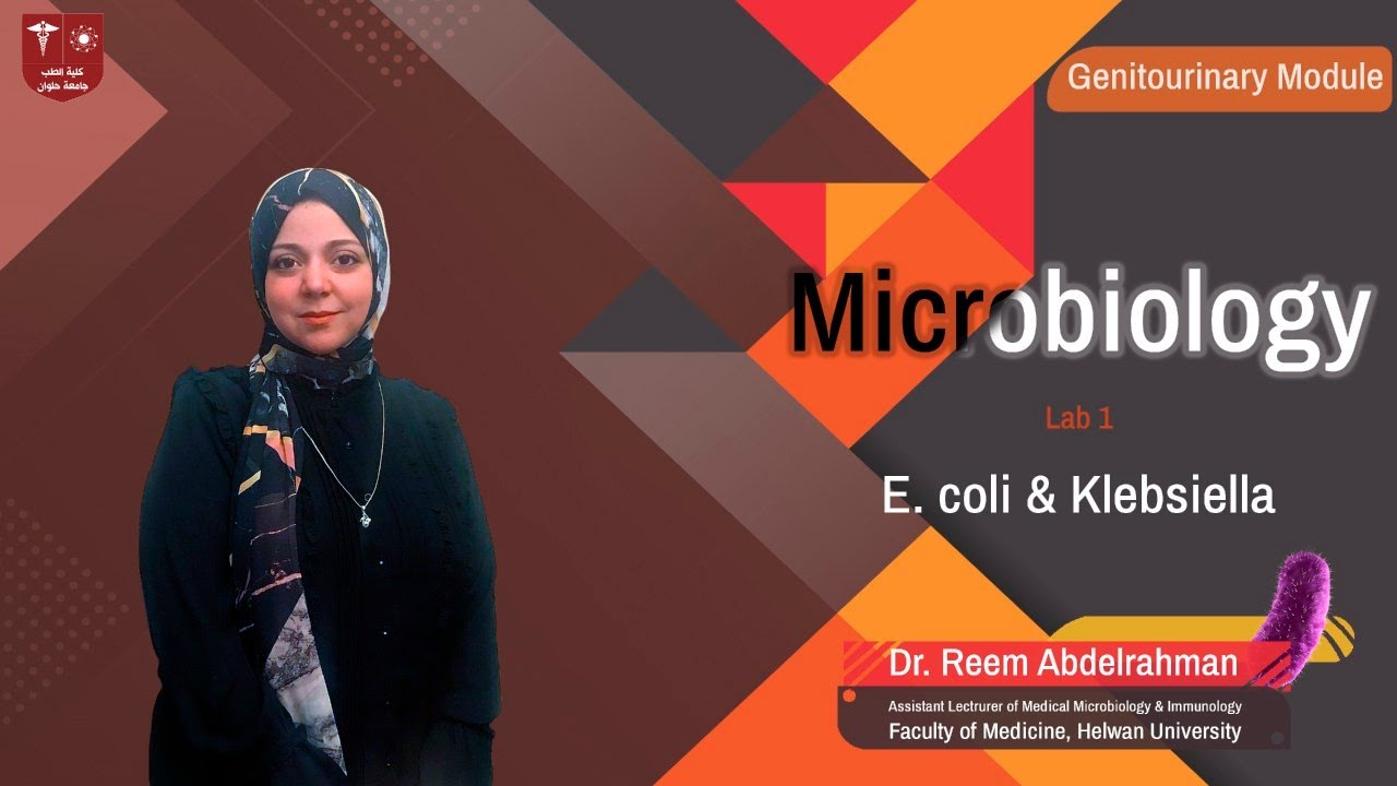 1. E Coli & Klebsiella