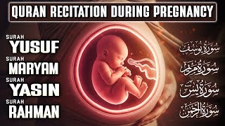 Quran Recitation During Pregnancy ( MUST LISTEN ) Surah Yusuf, Maryam, Yasin, Rahman | Habibullah TV