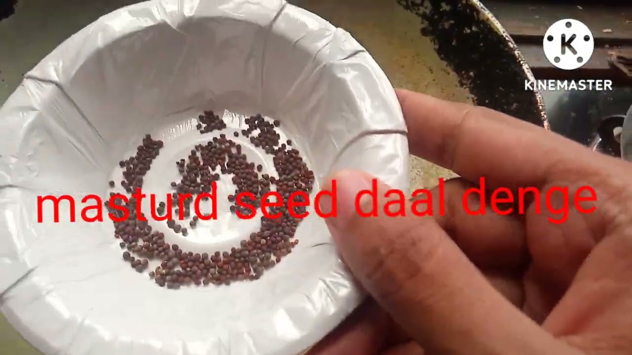 ambol amar tok recipe