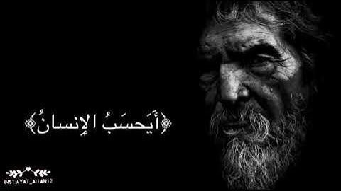 اجمل حالات واتس اب قران// بصوت ادريس ابكر// حالات واتس اب دينية// تلاوة خاشعة