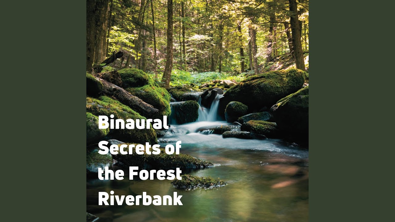 River's Deep Forest Secrets
