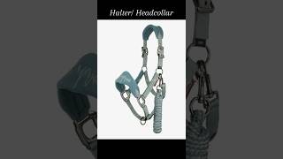 Christmas gift ideas for equestrians for $50 and under 🎄🐴 #horse #horses #equestrian #giftideas