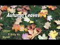 Autumn Leaves - cover by Billy Yu - Vancouver (002)