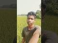 Gai Gupi||new santali video 2025||Bablu Baski|Durga shree|#santalivideo #newsantalivideo #shorts