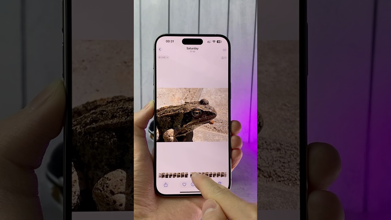 Select Only Rows With Max Value On A Column In SQL Server - YouTube Auto PHP Script