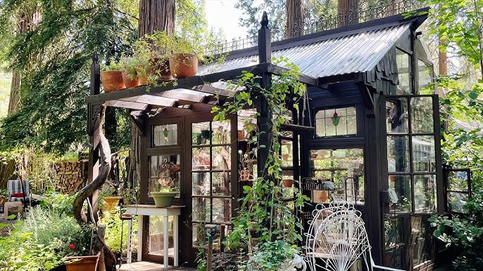 Magnolia Greenhouse