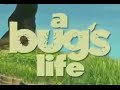 A Bug's Life - Disneycember