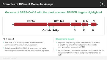 Highly Sensitive Viral Detection with SARS-CoV-2 NGS Assay