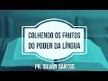 Silvan Santos - Mensagem (COLHENDO OS FRUTOS DO PODER DA LÍNGUA