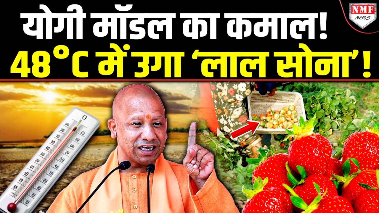 सूखी मिट्टी से करोड़ों की फसल? Yogi ने खेती का पूरा गेम ही बदल दिया