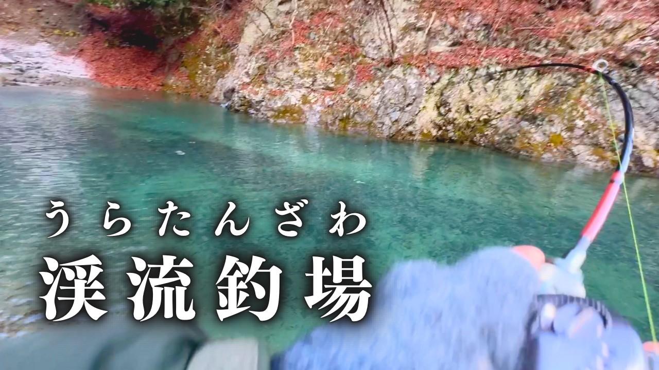 静寂が包む雪景―碧き渓流管理釣り場に舞う美しきトラウトたち【管理釣り場】【エリアトラウト】【渓流ベイト】