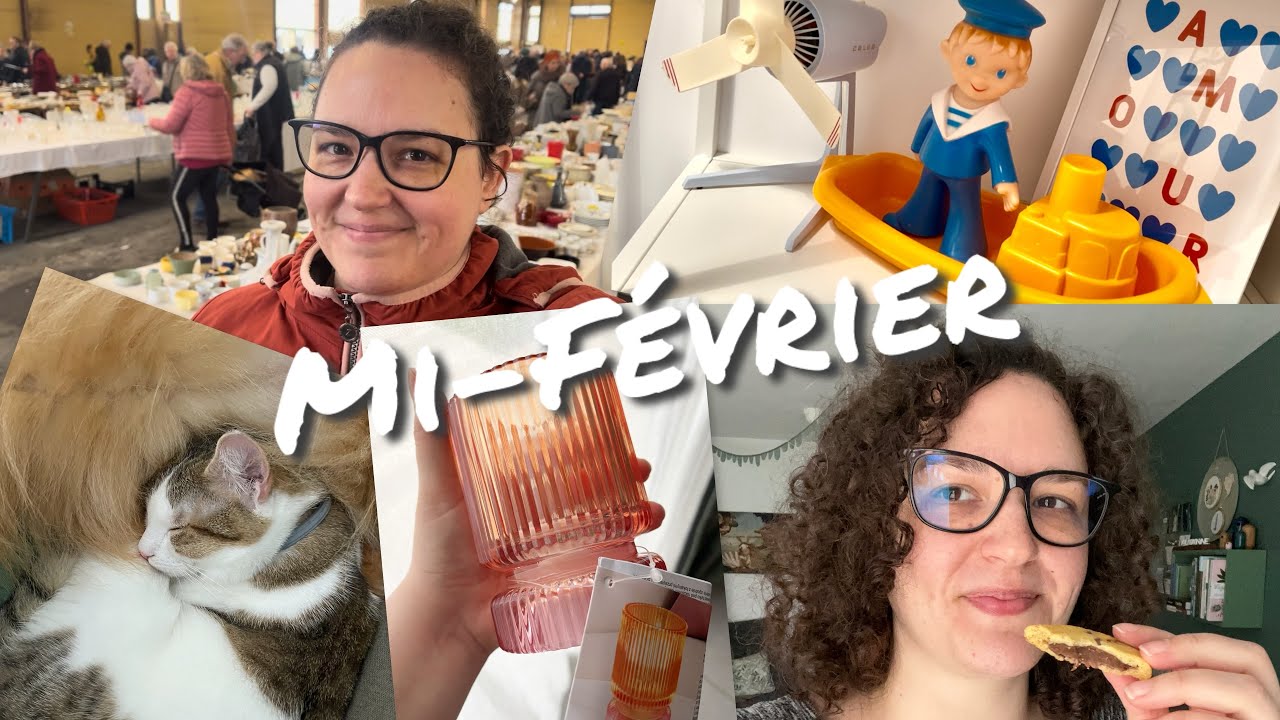 Braderie Emmaüs et haul Action (🐱🐱🐶)