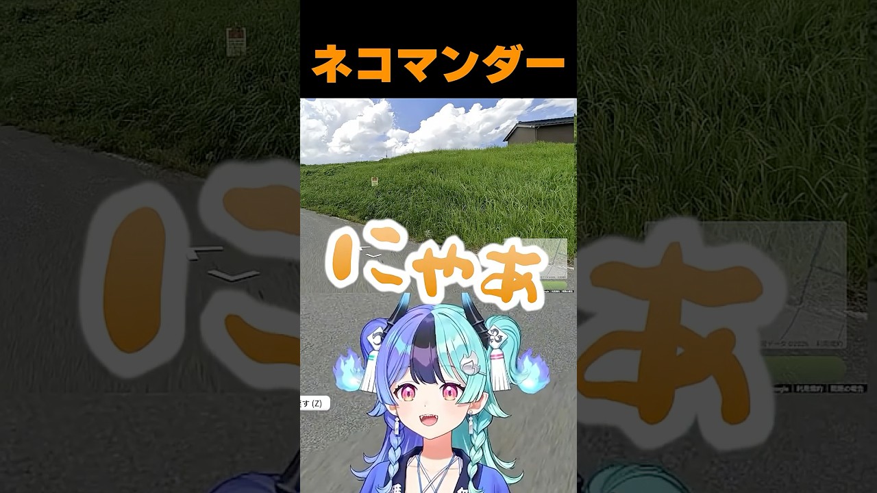 デビュー早々正体がバレてしまうネコマンダー【熱千めら/ホロライブ切り抜き/アソビ★まわり隊!】#shorts