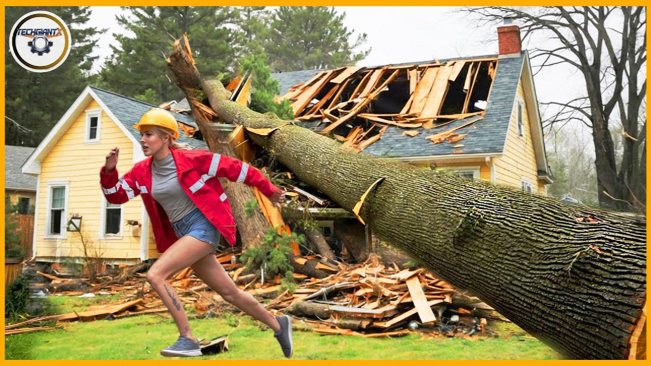 Dangerous Fastest Idiots Cutting Tree Fails Skill With Chainsaw | Tree ...