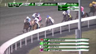 RACE 9 PROGRAM 2017_23_03