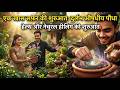 LMP-26-133 | पड़ोस वाली आंटी ने दिया ऐसा Rare औषधीय पौधा… अब इंतजार है इसके फूलों का🌱 | Gaurav Vlogs