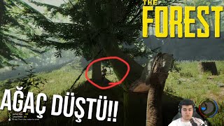 SUFLUNUN ÜZERİNE AĞAÇ DÜŞÜRDÜM!! | The Forest Bölüm 5