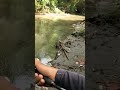 REJEKI NOMPLOK INI MAH KALAU KENA|Ketemu lele Besar Saat Banjir #mancing #castinghampala #fishing