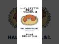 カービィやスマブラでお馴染み「HAL研究所」は一度倒産しかけている#ゲーム雑学#任天堂#カービィ