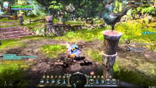 Dragon Nest - Mercenary Skills up to Lv26.